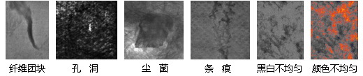 圖片10.jpg